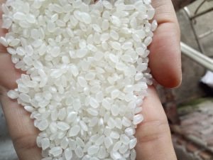 Gạo Bao Thai Na Hang