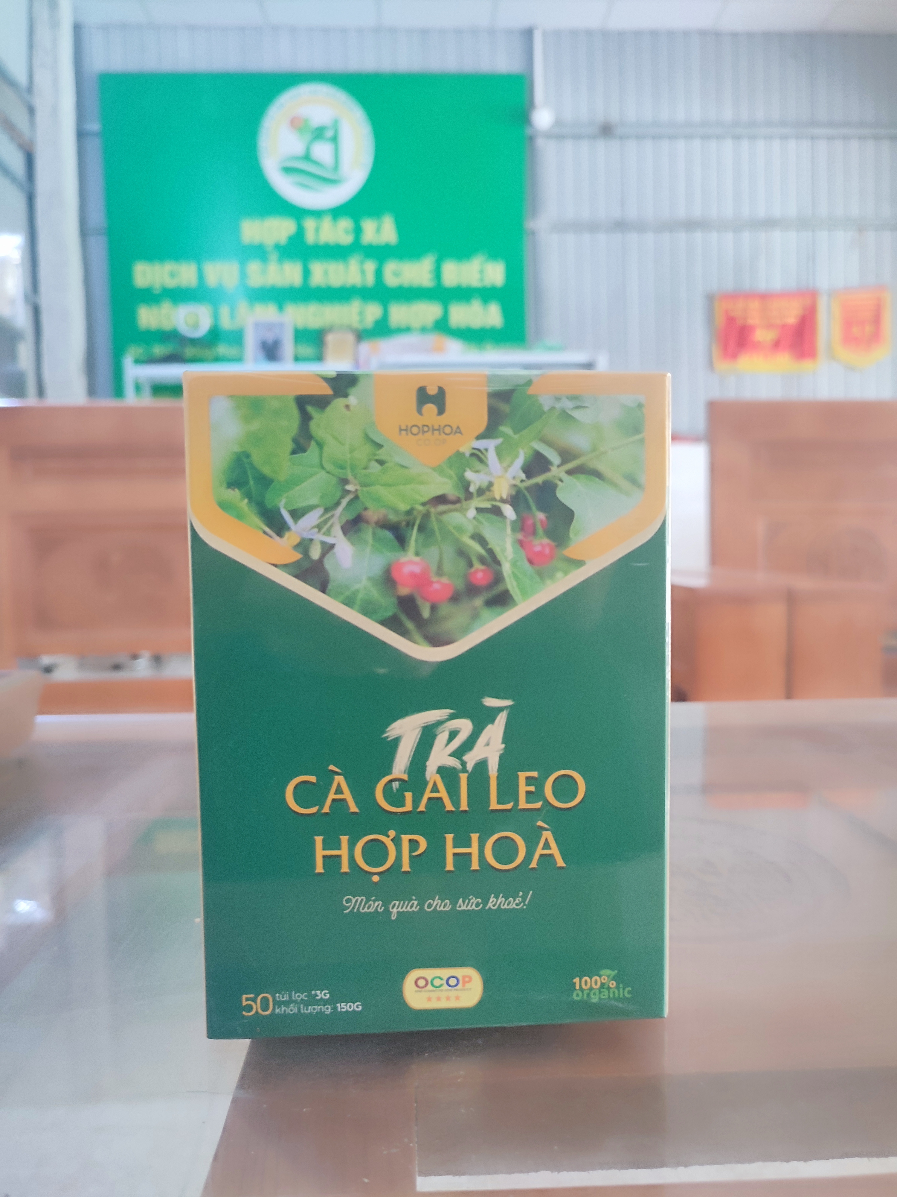 Trà Cà Gai Leo Hợp Hòa