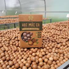 Macca sấy chín tách nứt