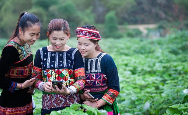 Chợ trực tuyến mở ‘cánh cửa’ tiêu thụ nông sản cho HTX