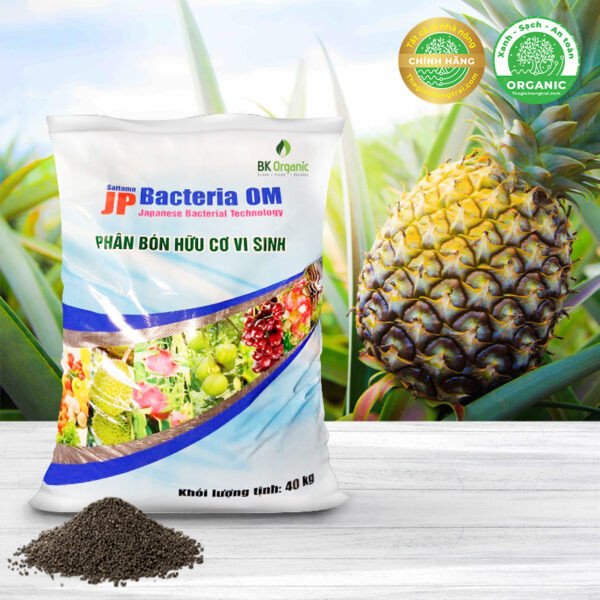 PHÂN HỮU CƠ VI SINH BK-ORGANIC DÙNG CHO NÔNG TRẠI DỨA (DẠNG VIÊN TRÒN)