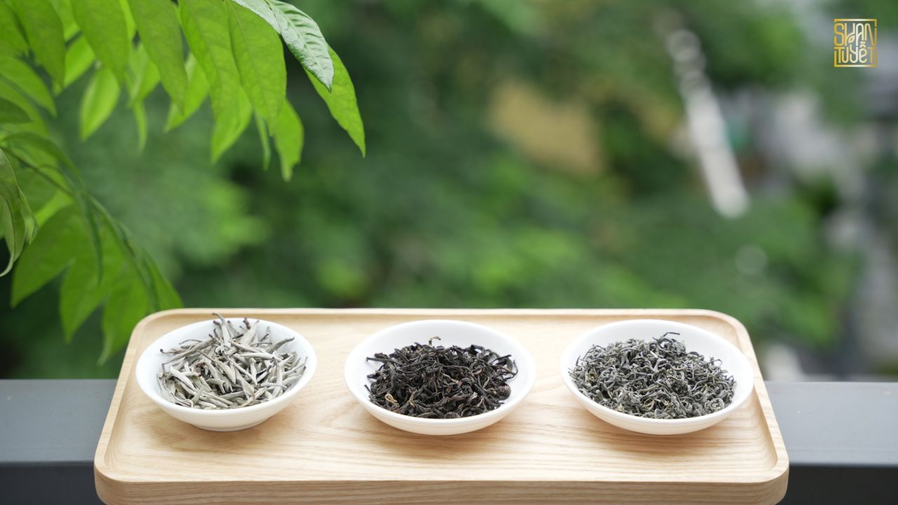 Trà Shan tuyết Hà giang - lục trà shan tuyết 1 búp 2-3 lá (200gr)