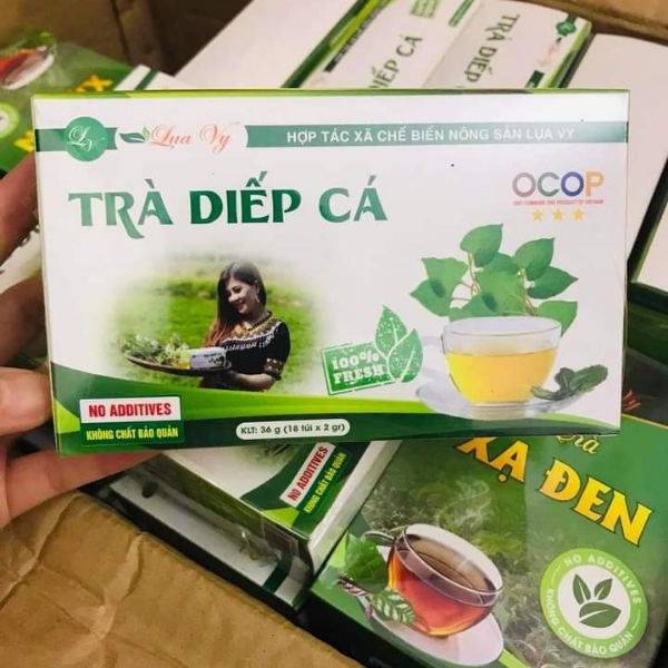 Trà diếp cá Lụa Vy