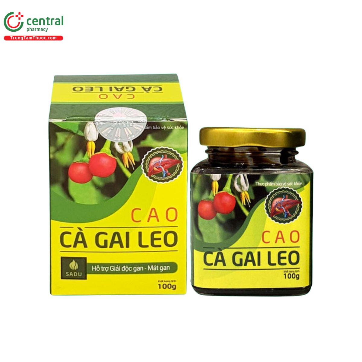 Cao cà gai leo