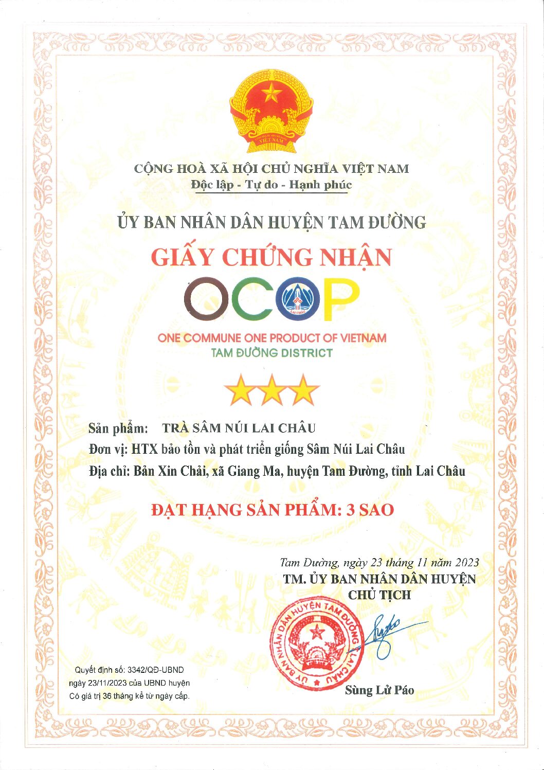 Trà Sâm núi Lai Châu (Xanh 30 gói)