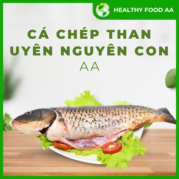 Cá Chép Than Uyên Nguyên Con AA