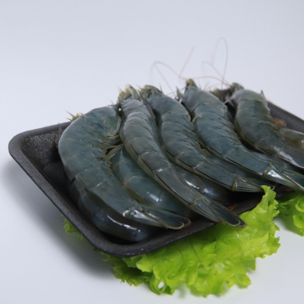 Tôm Thẻ Chân Trắng